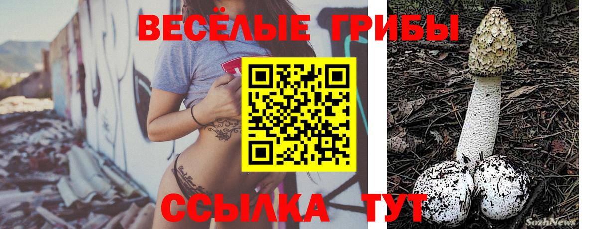 Стрежевой  наркотики  Вход с VPN  Псилоцибиновые грибы GOLDEN TEACHER 